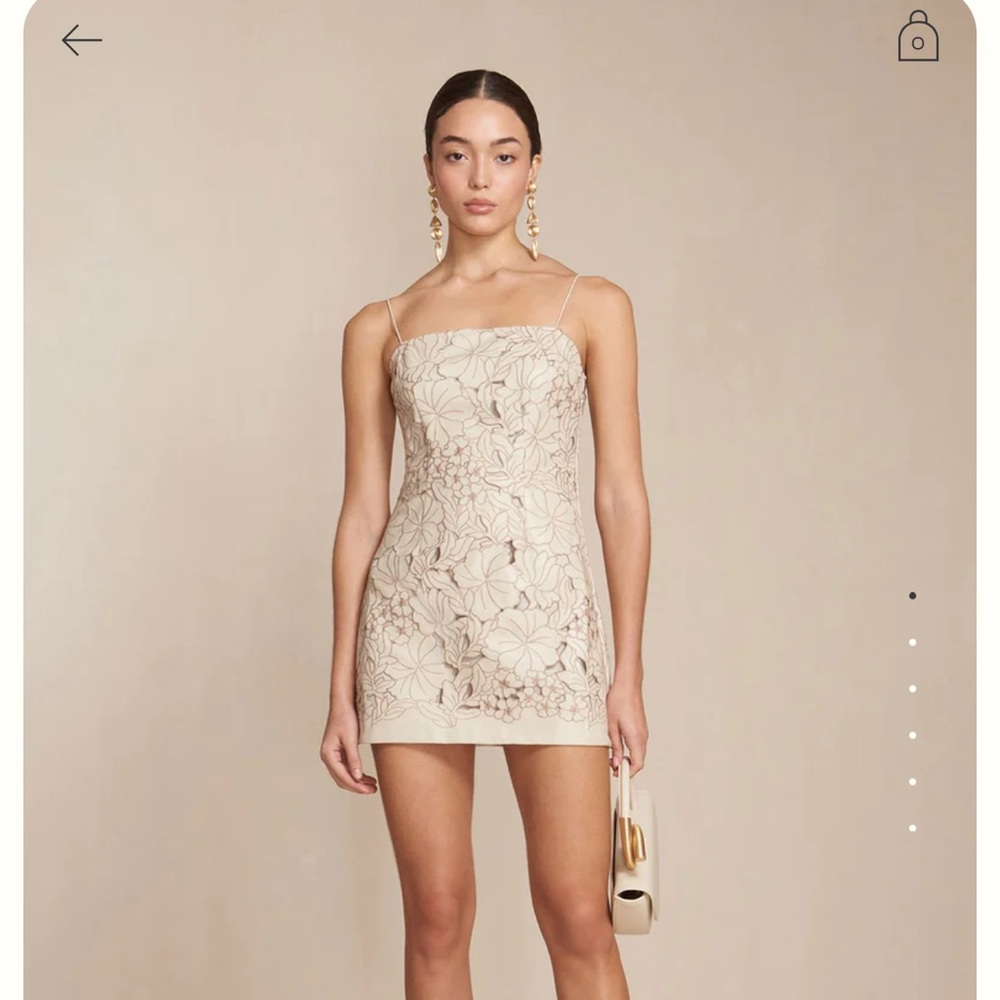 Cult Gaia Dress